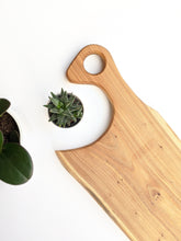 large elm charcuterie board with handle. white background with two succulents.